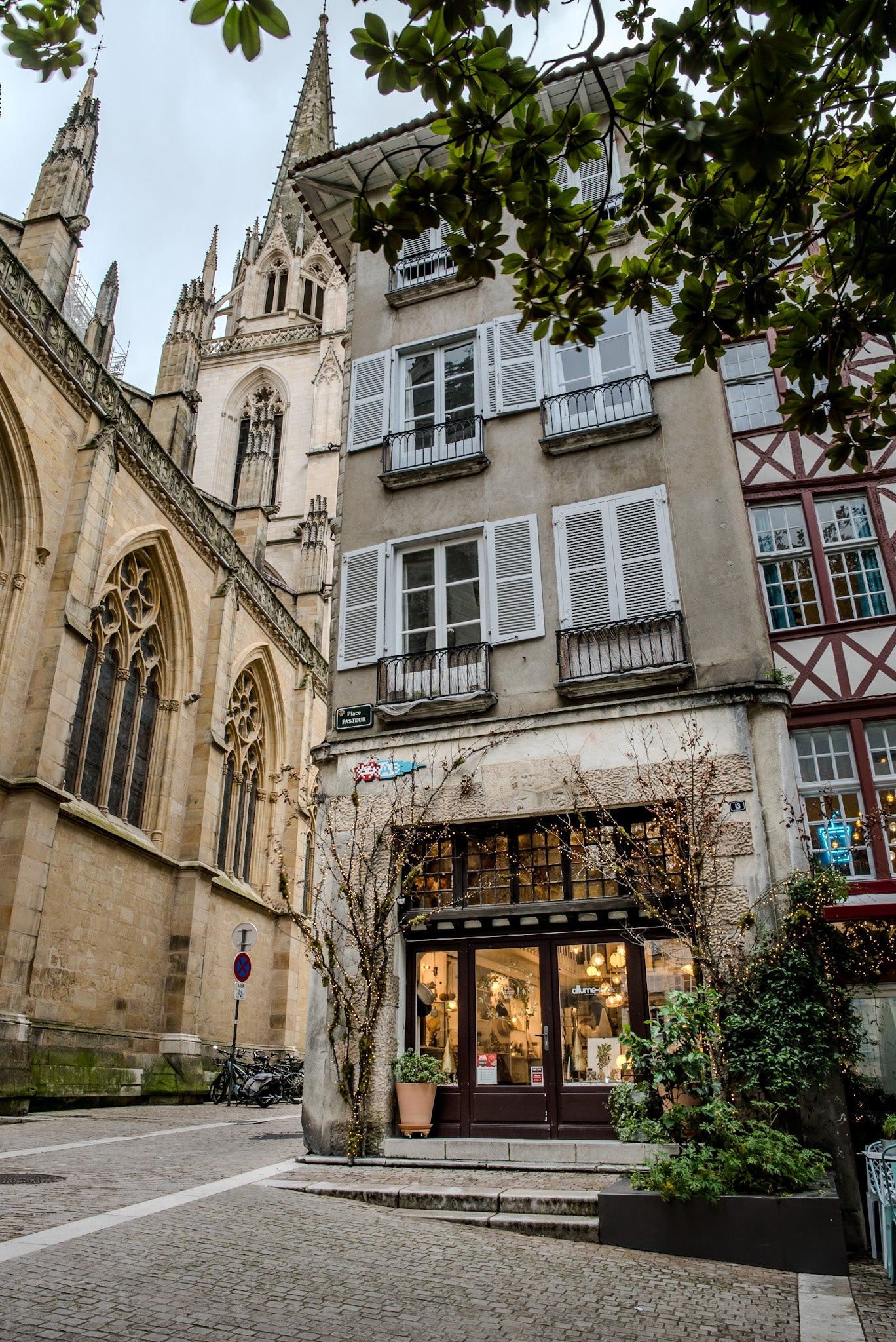 Le mur de cadres botaniques de la boutique allume-moi