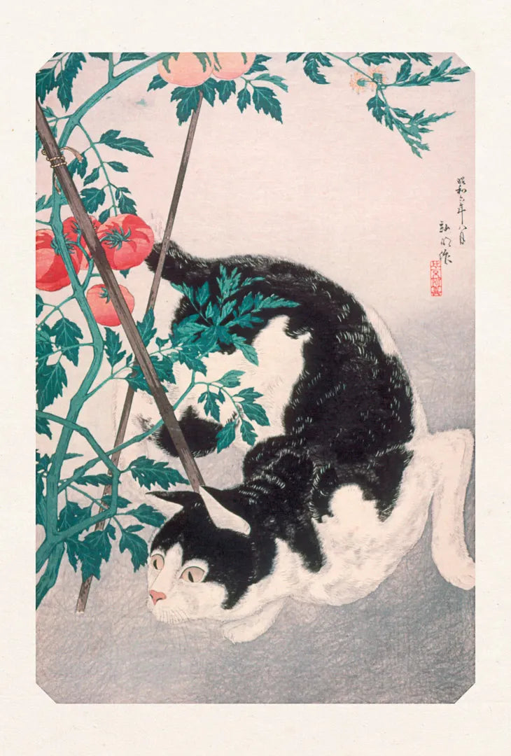 Carte "Chat tomate"