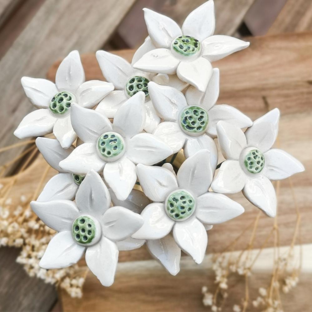 Edelweiss Blanc en céramique