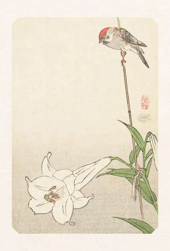 Carte "Oiseau sur branche"