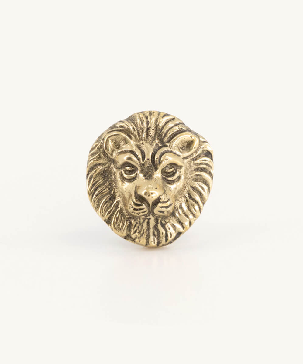 Bouton de Tiroir Lovesome Lion