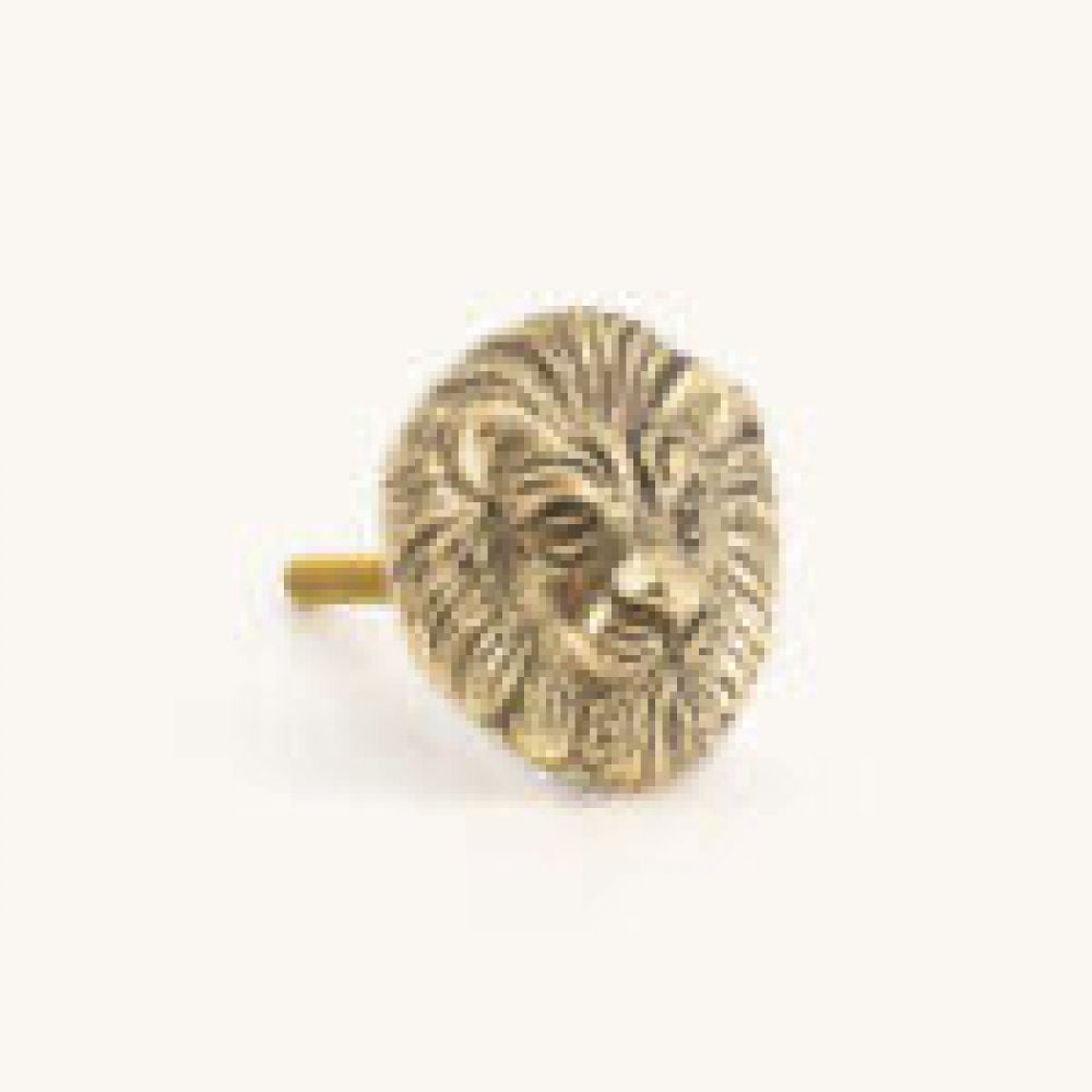 Bouton de Tiroir Lovesome Lion