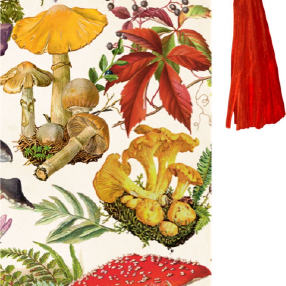 Marque page Champignons