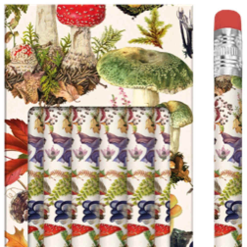 Crayon Champignons