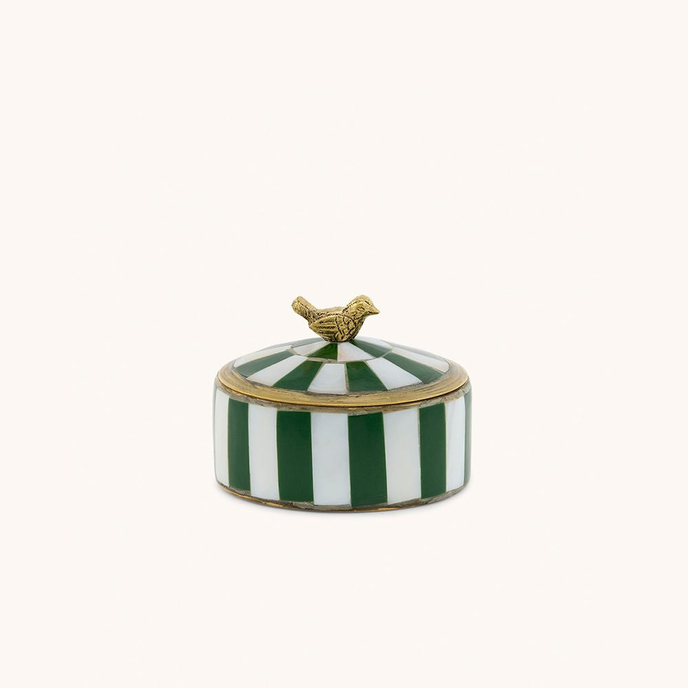 Boite Circus vert/oiseau Lola Pine
