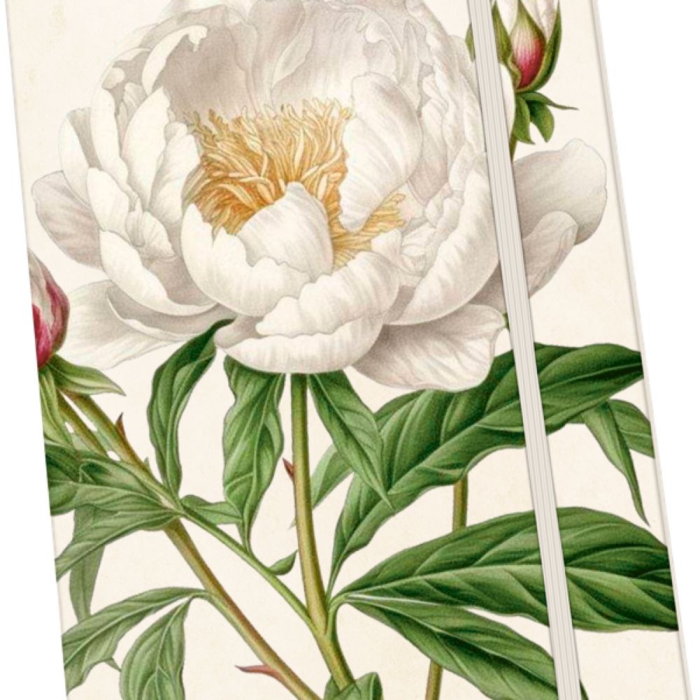Carnet Pivoine blanche