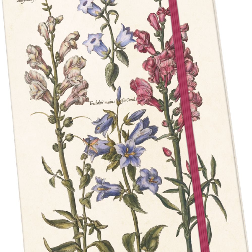Carnet SnapDragon