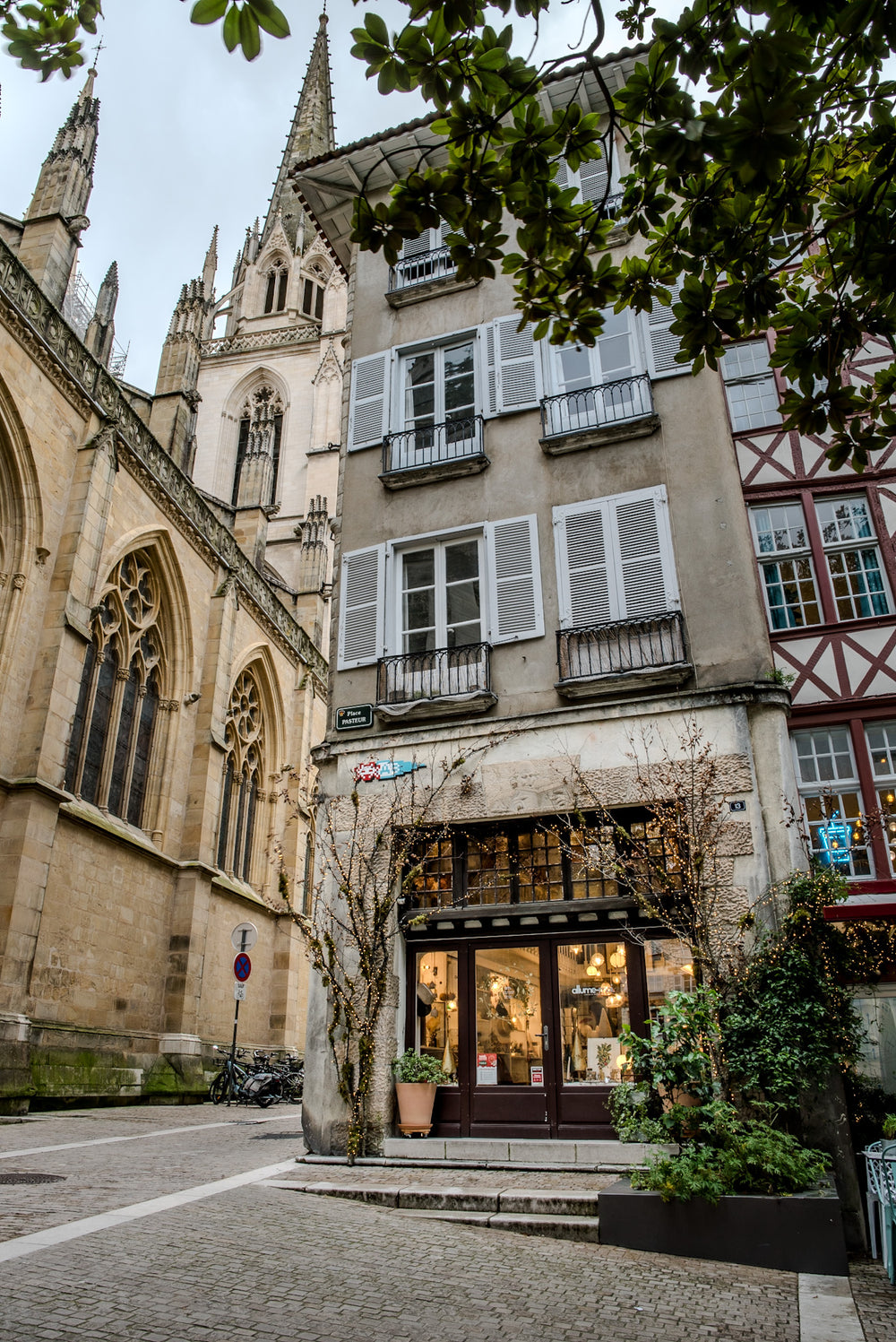 Le mur de cadres botaniques de la boutique allume-moi