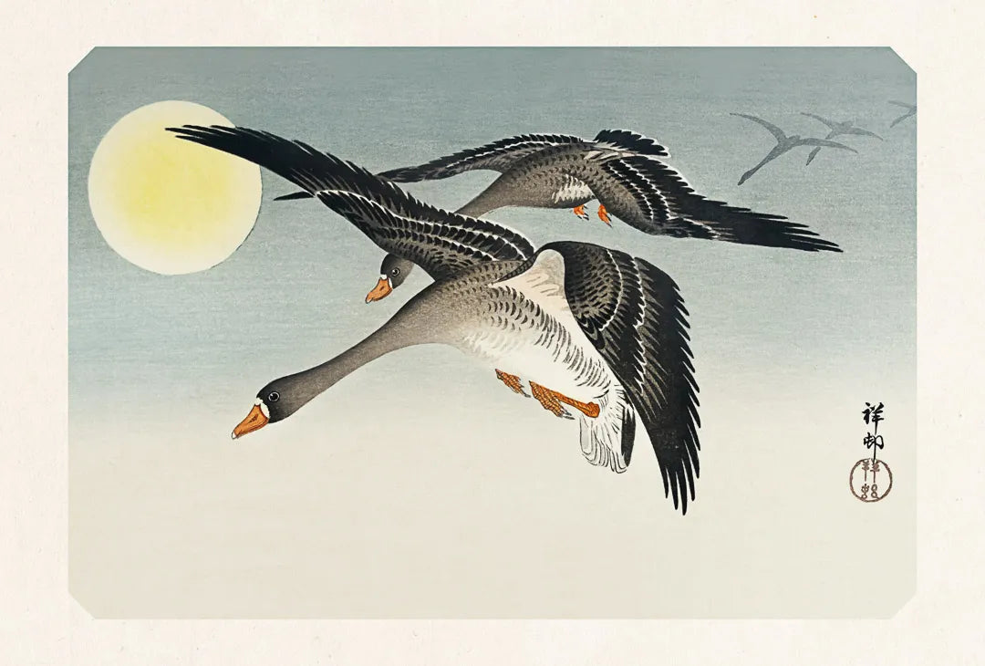 Carte "Oiseaux Pleine lune"
