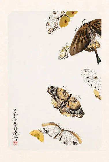 Carte "Papillons"